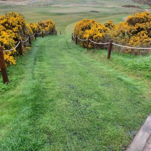 Golf Mats