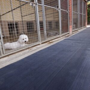 Grooming and Kennel Mats