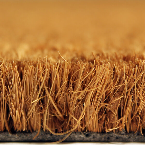 Close-up of the dense, upright bristles of the Weather-Resistant Entrance Mat, highlighting its coarse texture and natural brown fibres against a softly blurred background.