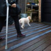 A person with a crutch and dark boots walks on a wooden deck fitted with Anti-Slip Decking Strips, following a fluffy white dog towards a doorway. Gardening items and stacked wood are visible in the background.