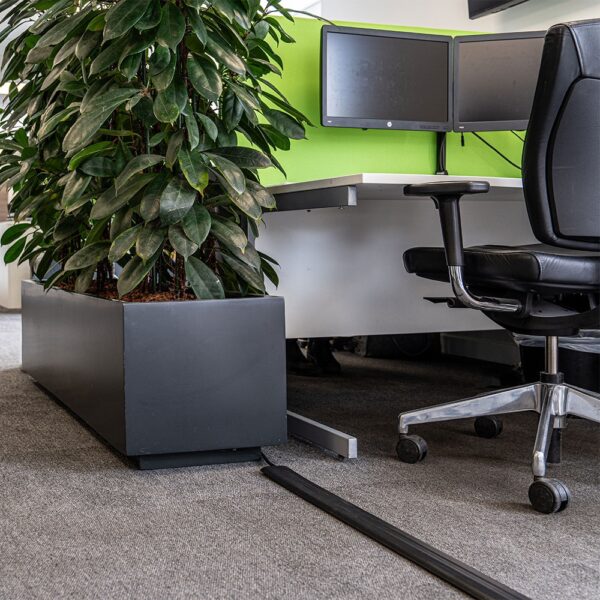 An office workspace with a black chair, a desk with dual monitors, a large rectangular planter holding a leafy green plant, and a PVC Cable Protector on the grey carpeted floor.