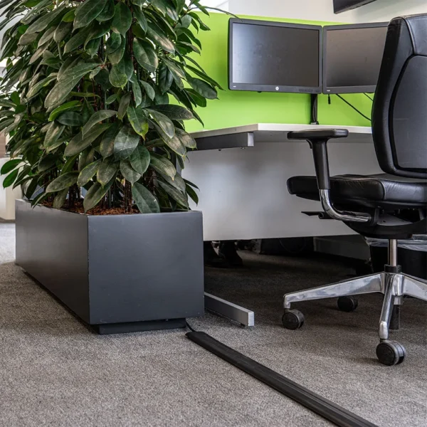 Office workspace with a black desk chair, dual monitors, large green partition, and tall leafy plant in a planter next to the desk on carpeted floor, featuring a PVC Cable Protector for organised cable management.