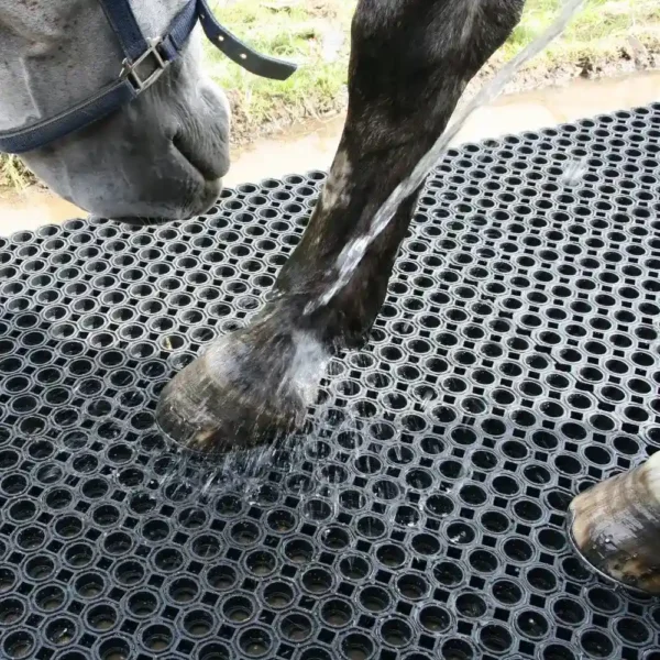 A horse’s leg is being rinsed with water whilst it stands on a Roof Walkway Mat with circular holes; part of the horse’s head appears to the left.