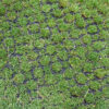 Close-up of green grass growing through the 16mm Black Grass Mat, a black plastic mesh used for reinforcing and stabilising grassy surfaces.