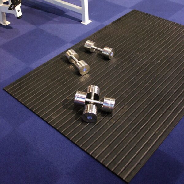 Two pairs of silver dumb-bells rest on a black Heavy-Duty Gym Mat, which is placed on a blue gym floor.