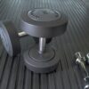 A Heavy-Duty Gym Mat supports two large black dumb-bells and a pair of smaller silver ones, creating a weightlifting-ready environment.