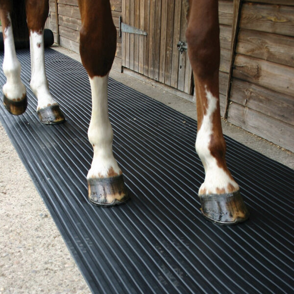 Close-up of a horse's legs and hooves as it stands and walks on Wide Ribbed Rubber Matting outside a wooden stable.
