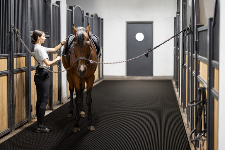 A person stands beside a brown horse in a clean, well-lit stable. The horse is secured with cross-ties and is wearing a saddle. The person appears to be grooming or preparing the horse.