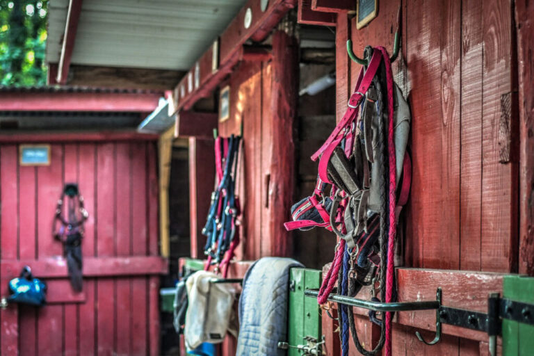 Colourful horse tack and bridles hang on hooks outside red wooden stable doors, with a saddle draped over a green door in the foreground. Sunlight and shadows highlight the rustic textures of the barn.
