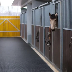Stables