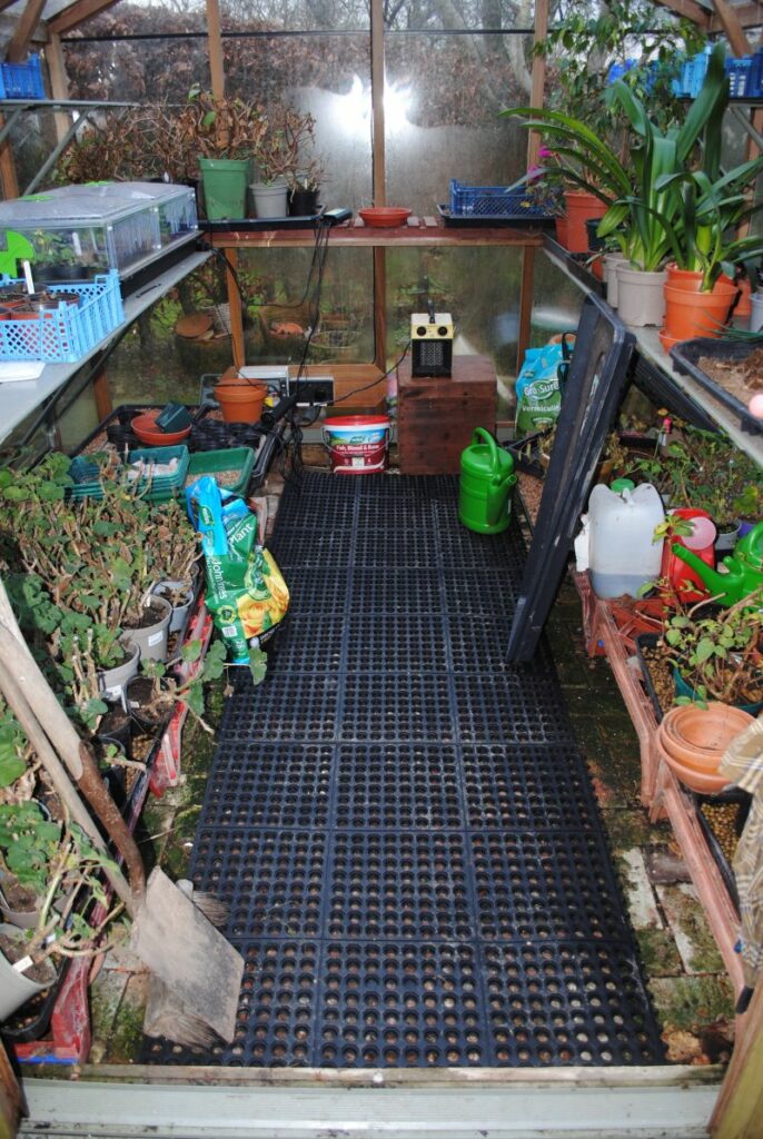 A greenhouse interior with plants in pots on shelves and the floor, gardening tools and supplies, watering cans, bags of compost, and a black rubber mat covering the walkway.